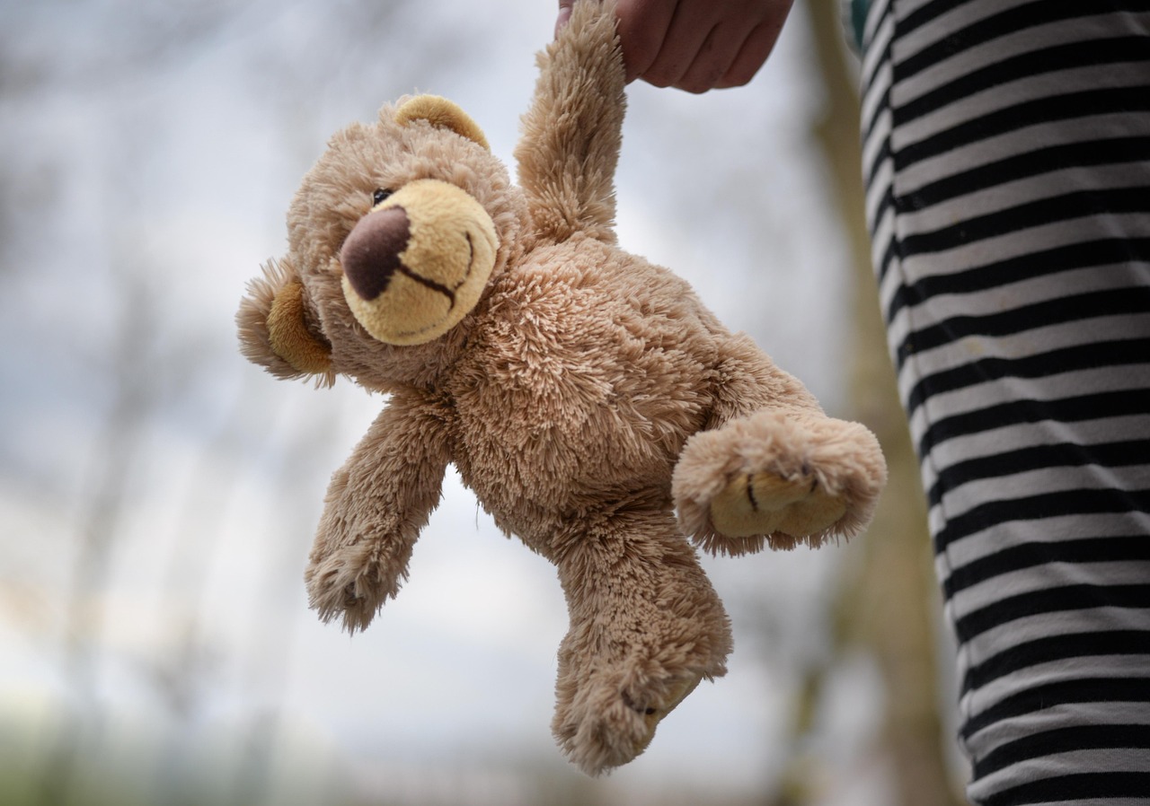 stuffed bear, teddy, child, girl, holding, outside, mammal, nature, animal, wildlife